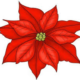 Poinsettia Sale